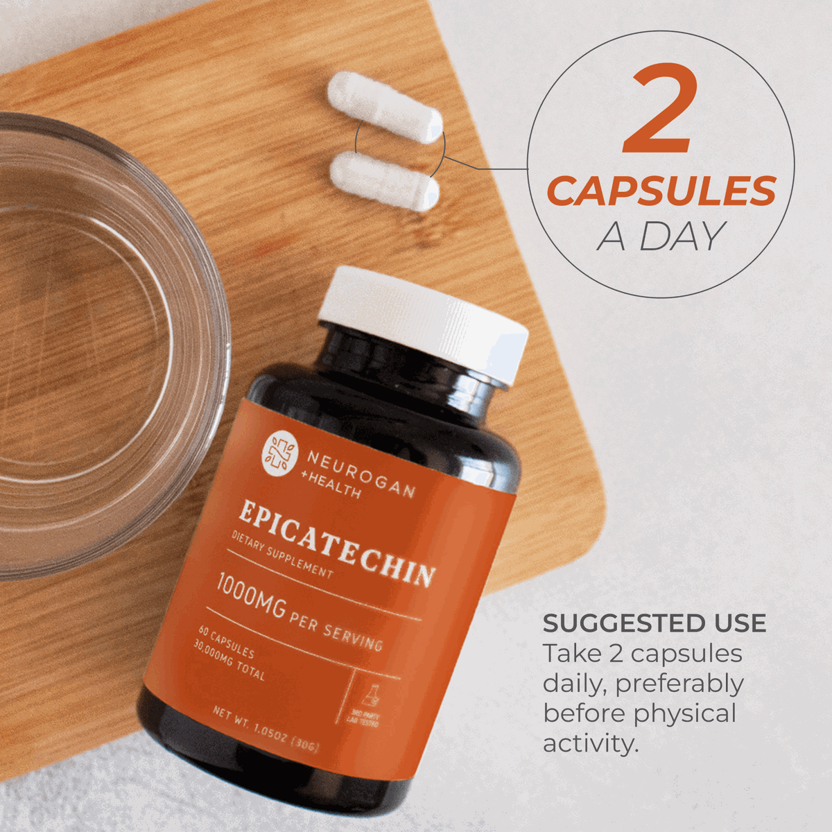 Epicatechin Supplement for Muscle Growth and Performance Support