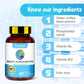 Brain Health Vitamin Capsules for Cognitive Wellness Support