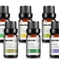 Botanical Aromatherapy Essential Oil for Relaxation and Wellness