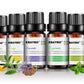 Botanical Aromatherapy Essential Oil for Relaxation and Wellness