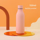 Stainless Steel Thermal Tea Cup Vacuum Water Bottle