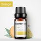Botanical Aromatherapy Essential Oil for Relaxation and Wellness