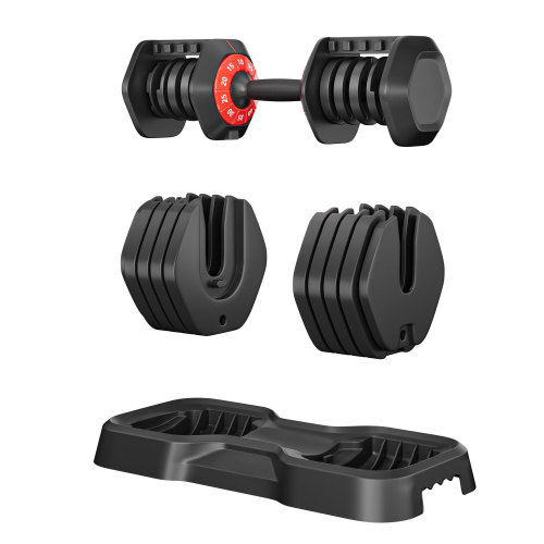 Adjustable 10-in-1 Dumbbell Set with Rotating Handle