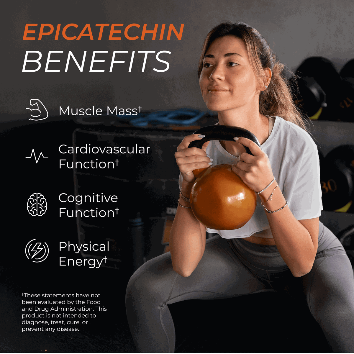 Epicatechin Supplement for Muscle Growth and Performance Support
