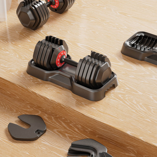 Adjustable 10-in-1 Dumbbell Set with Rotating Handle