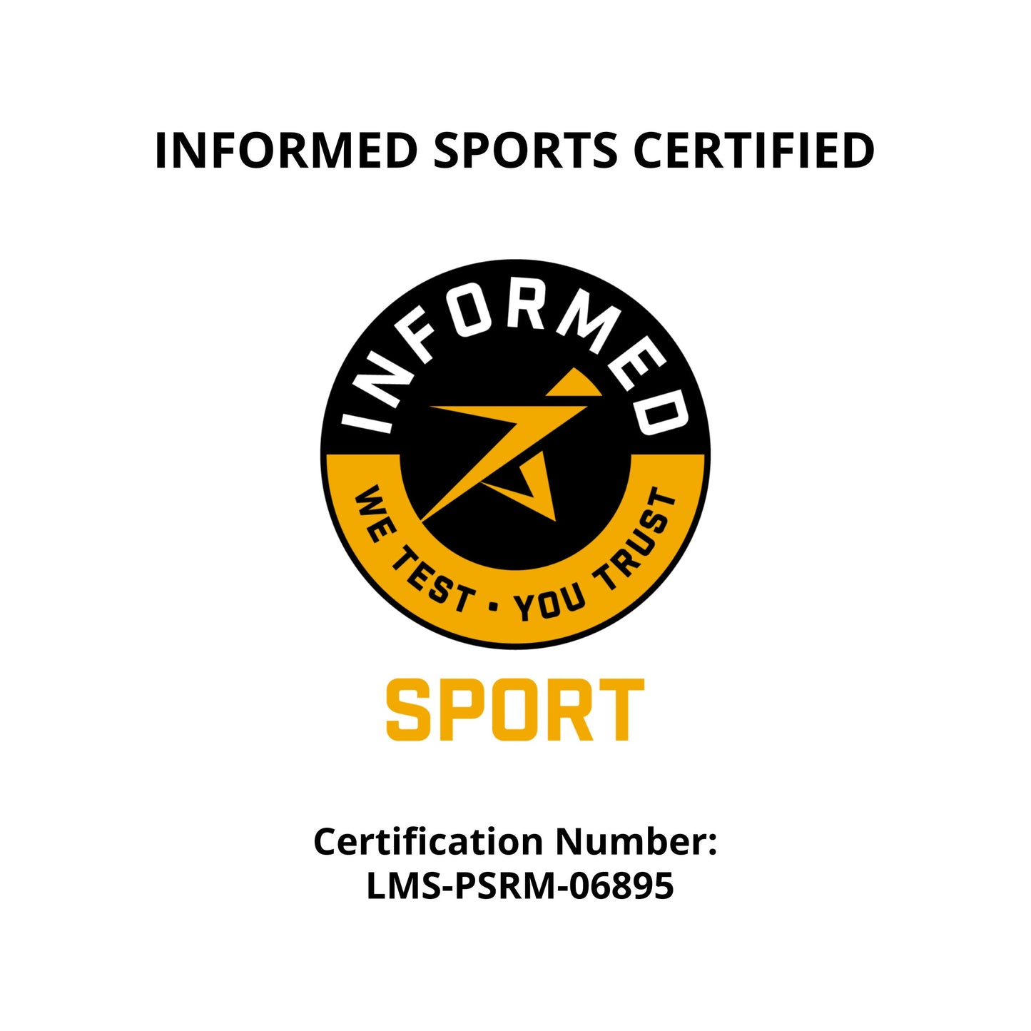 Plant-Based Sport Protein for Muscle Recovery and Performance Support