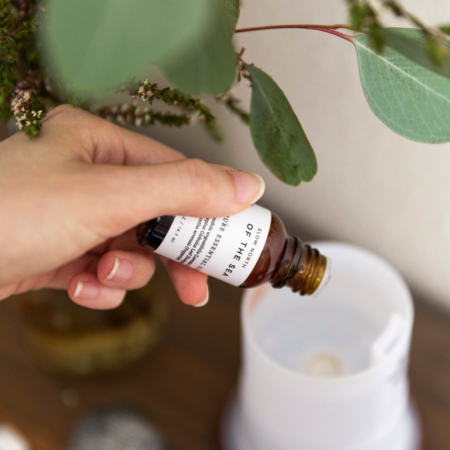 Essential Oil Diffuser Blends for Aromatherapy and Relaxation