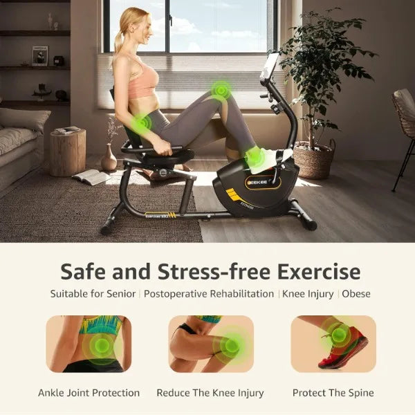 Recumbent Exercise Bike for Home Indoor Magnetic Cycling Workouts