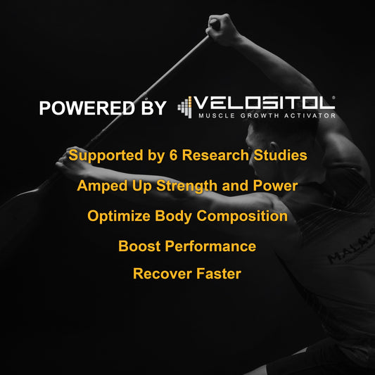 Plant-Based Sport Protein for Muscle Recovery and Performance Support