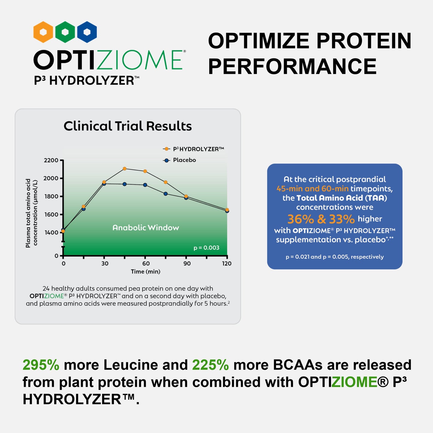 Plant-Based Sport Protein for Muscle Recovery and Performance Support