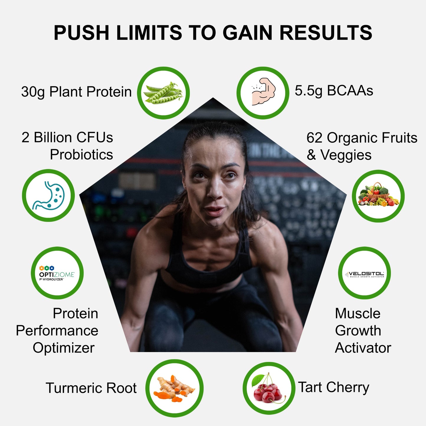 Plant-Based Sport Protein for Muscle Recovery and Performance Support