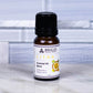 Premium Essential Oil Diffuser Blends for Relaxation Aromatherapy