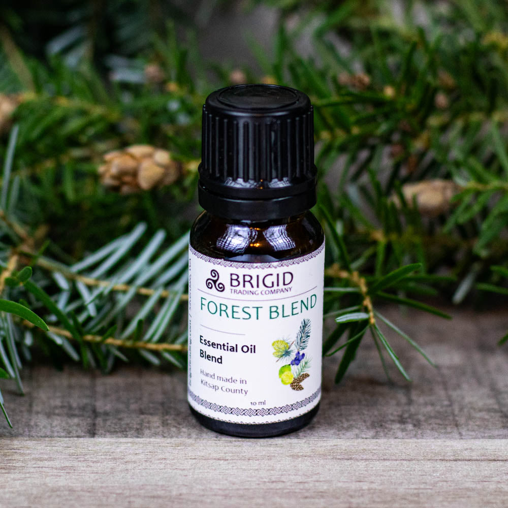 Premium Essential Oil Diffuser Blends for Relaxation Aromatherapy
