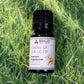 Premium Essential Oil Diffuser Blends for Relaxation Aromatherapy