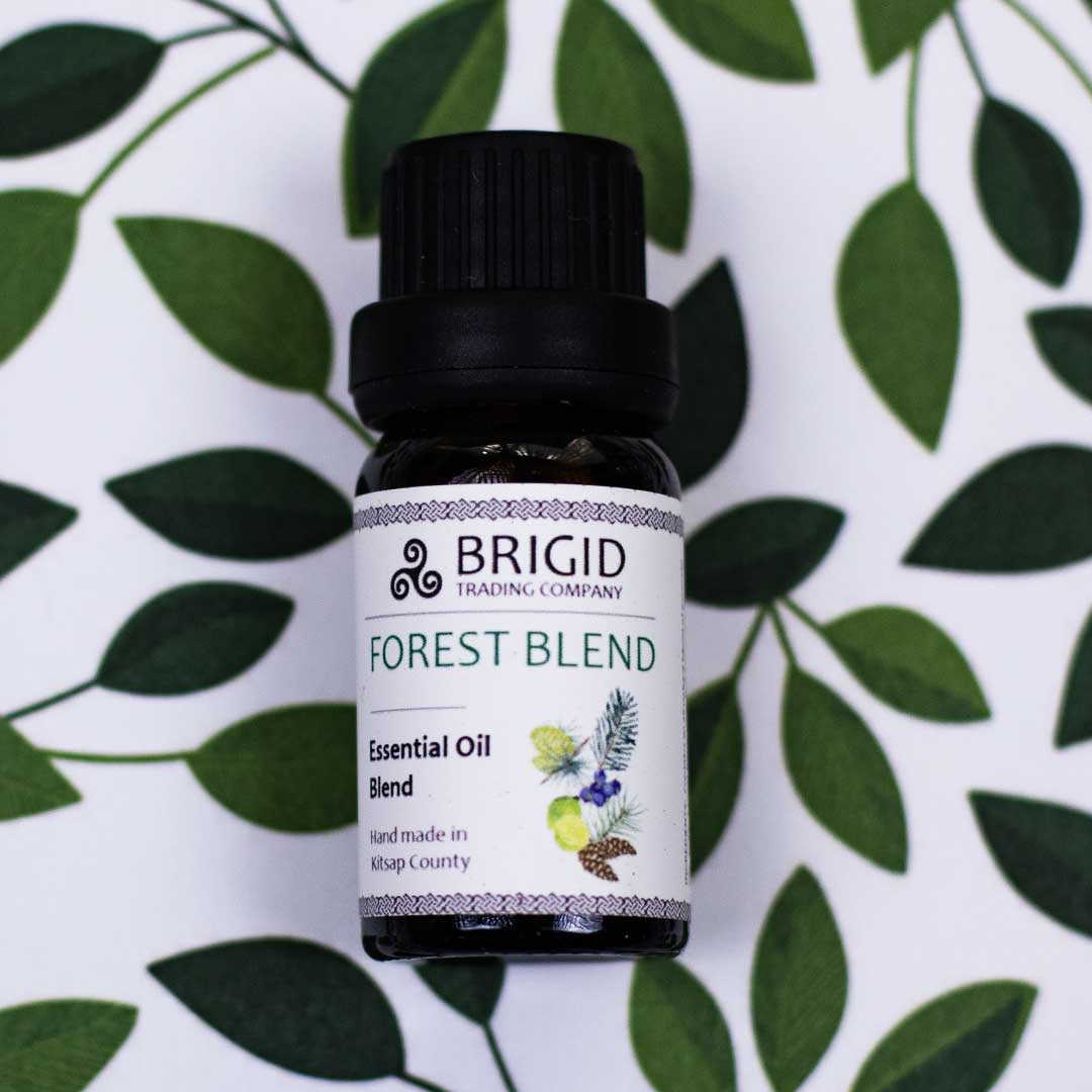 Premium Essential Oil Diffuser Blends for Relaxation Aromatherapy