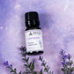 Premium Essential Oil Diffuser Blends for Relaxation Aromatherapy