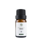 Aromatherapy Essential Oils for Oil Burners and Relaxation